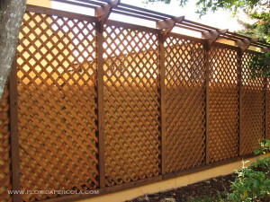 lattice fence