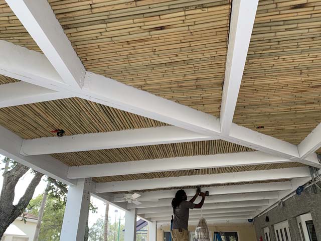 Ceilings2019_29